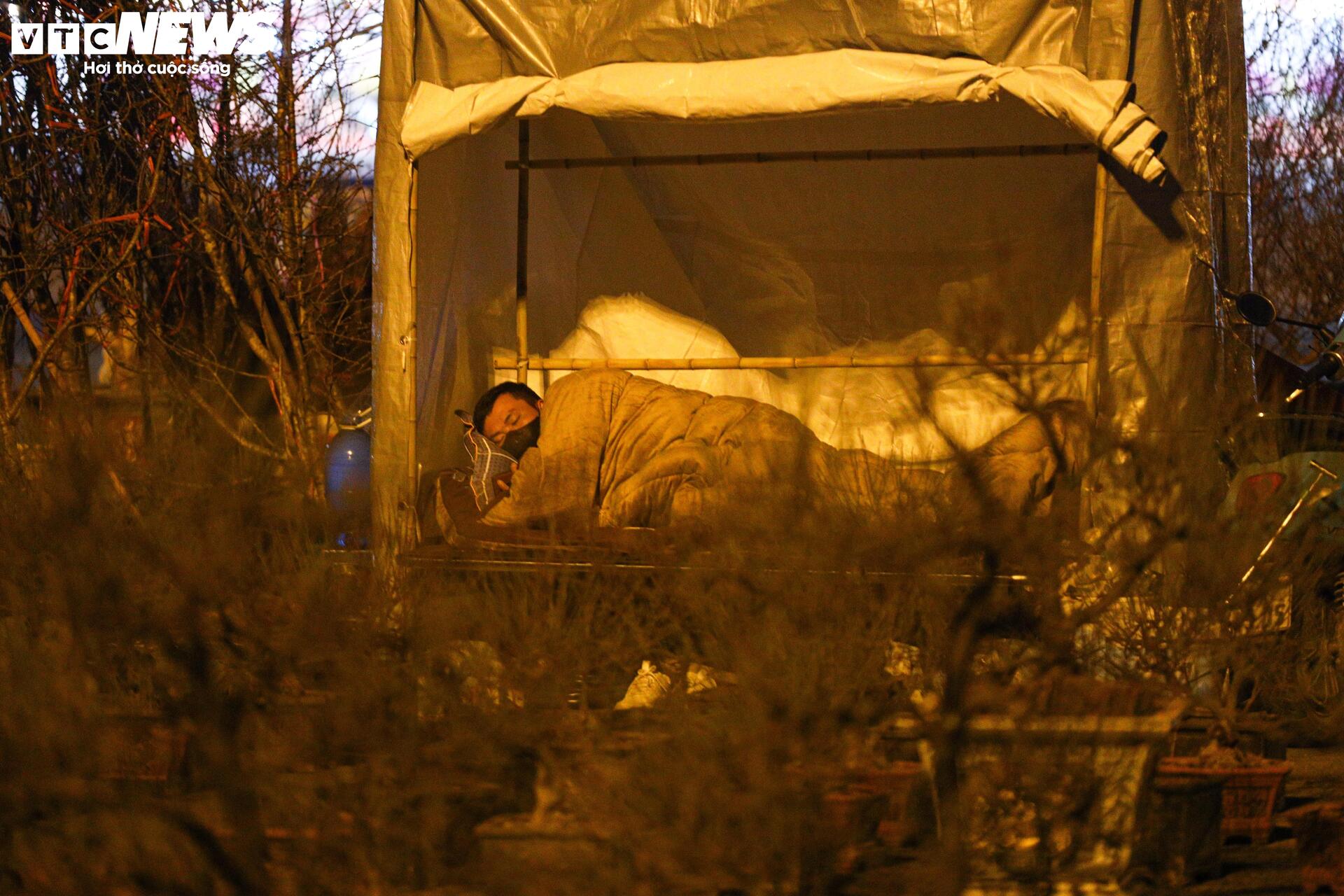 Thâu đêm trông đào quất Tết, tiểu thương gồng mình chịu giá rét - Ảnh 16