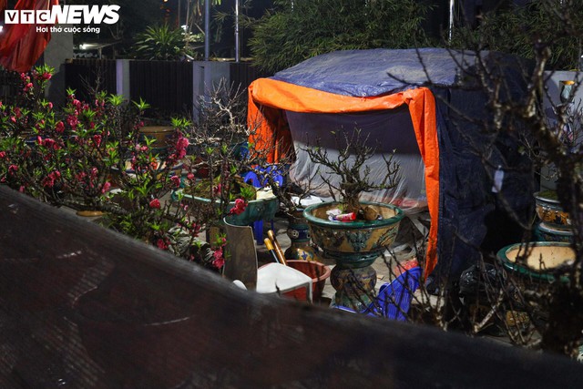 Thâu đêm trông đào quất Tết, tiểu thương gồng mình chịu giá rét - Ảnh 1