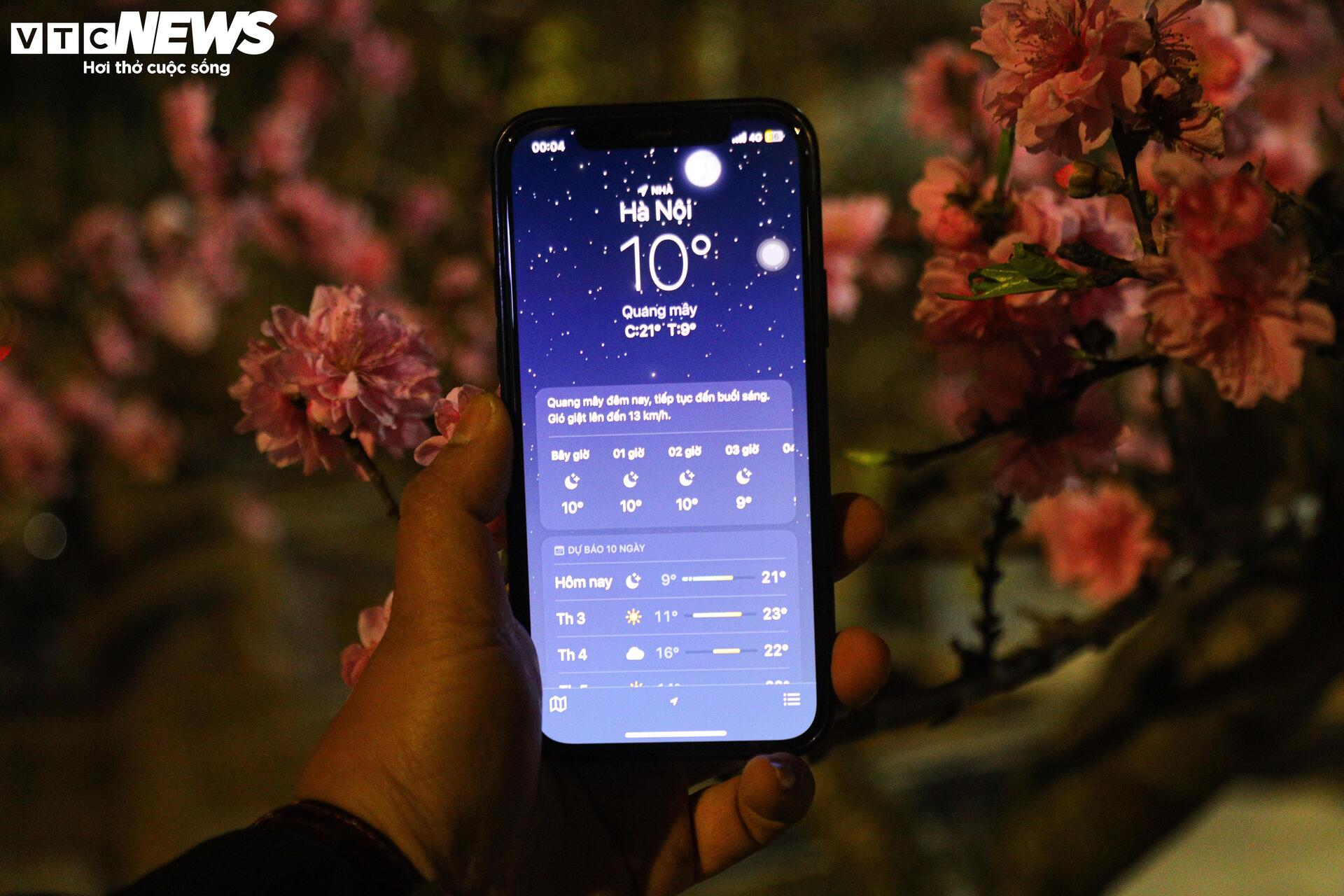 Thâu đêm trông đào quất Tết, tiểu thương gồng mình chịu giá rét - Ảnh 7