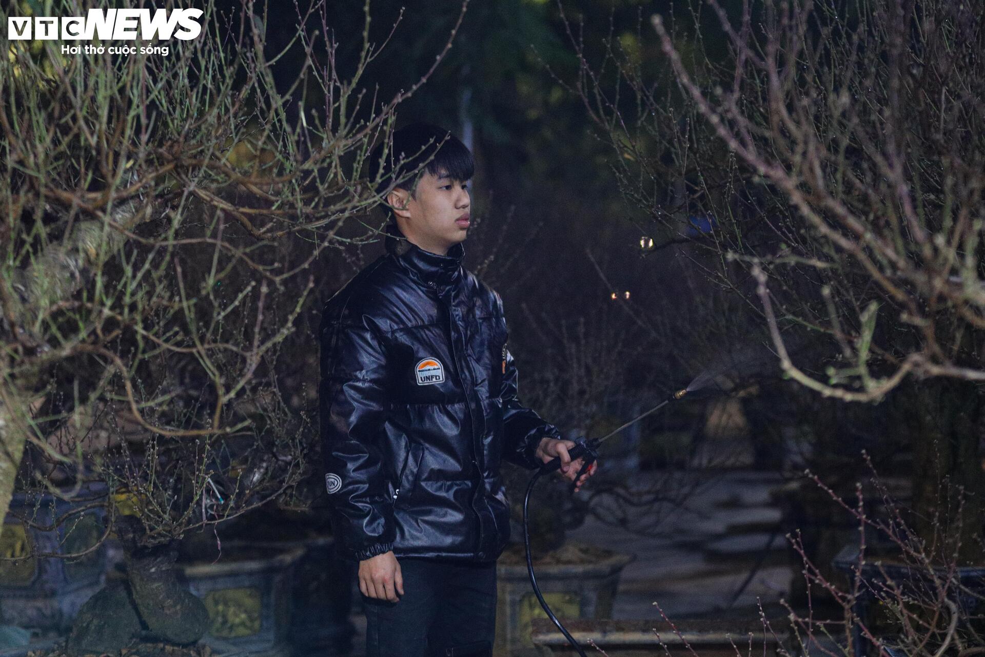 Thâu đêm trông đào quất Tết, tiểu thương gồng mình chịu giá rét - Ảnh 11