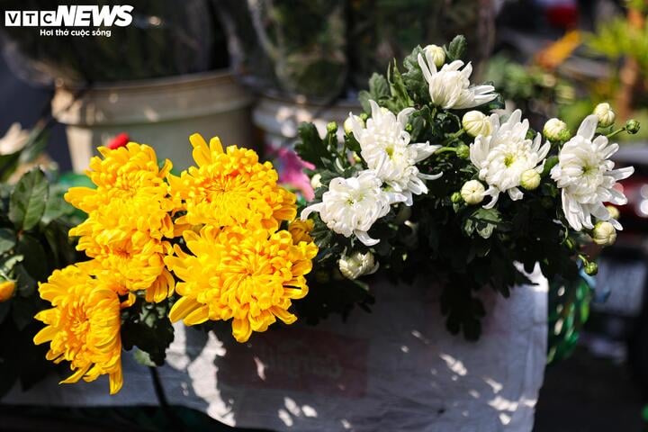 Hơn nửa triệu đồng một con gà ngậm hoa hồng cúng rằm tháng Chạp - Ảnh 7