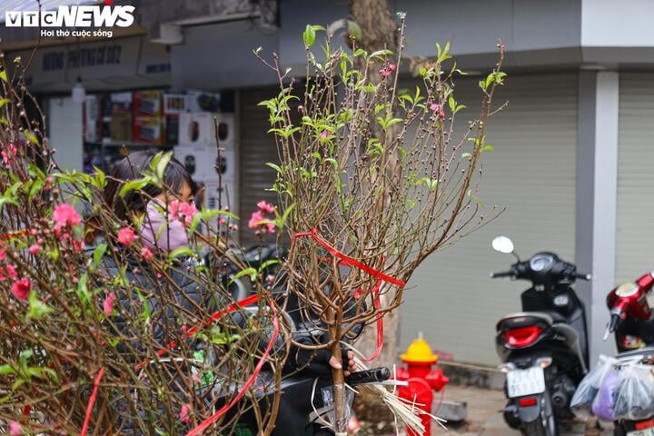 Người dân tất bật cúng Rằm tháng Chạp: Hoa tươi, đào cành, trầu cau đắt gấp đôi - Ảnh 7