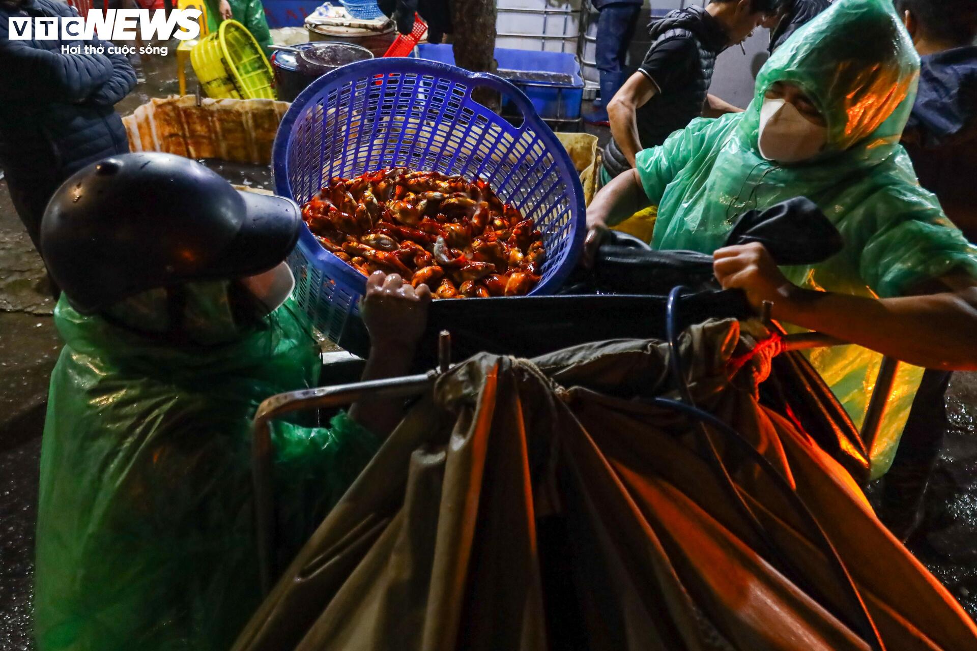 Xuyên đêm mua bán cá chép đỏ cho ngày cúng ông Công, ông Táo - Ảnh 16