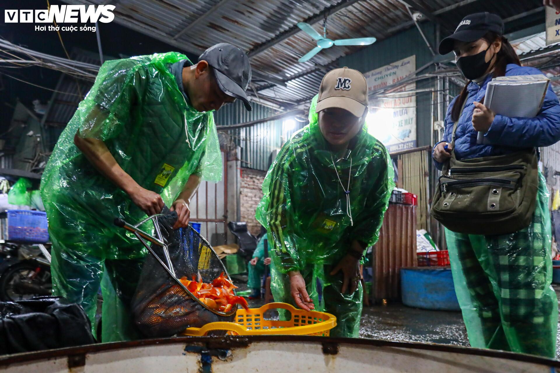 Xuyên đêm mua bán cá chép đỏ cho ngày cúng ông Công, ông Táo - Ảnh 4