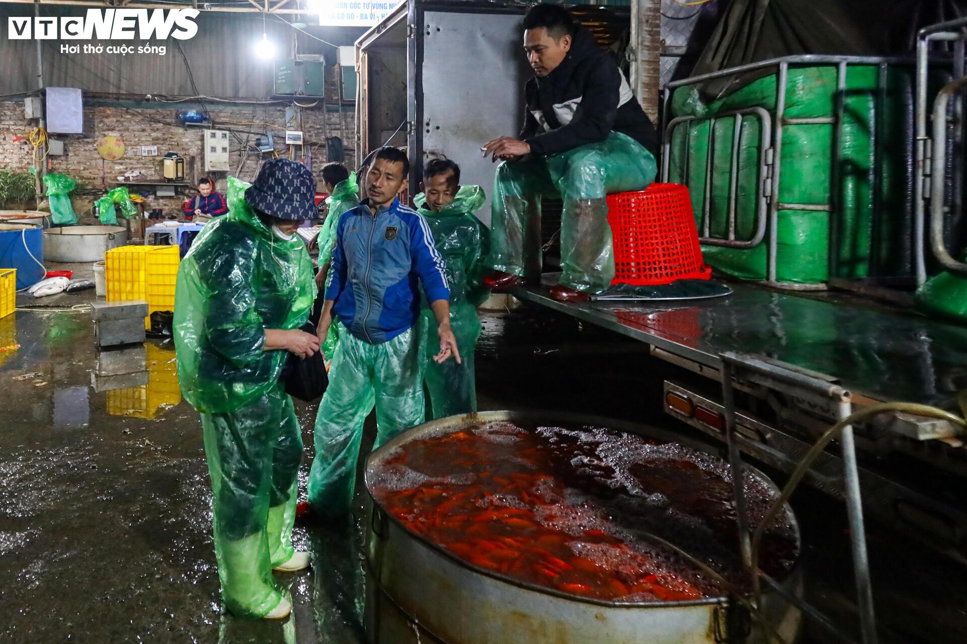 Xuyên đêm mua bán cá chép đỏ cho ngày cúng ông Công, ông Táo - Ảnh 11