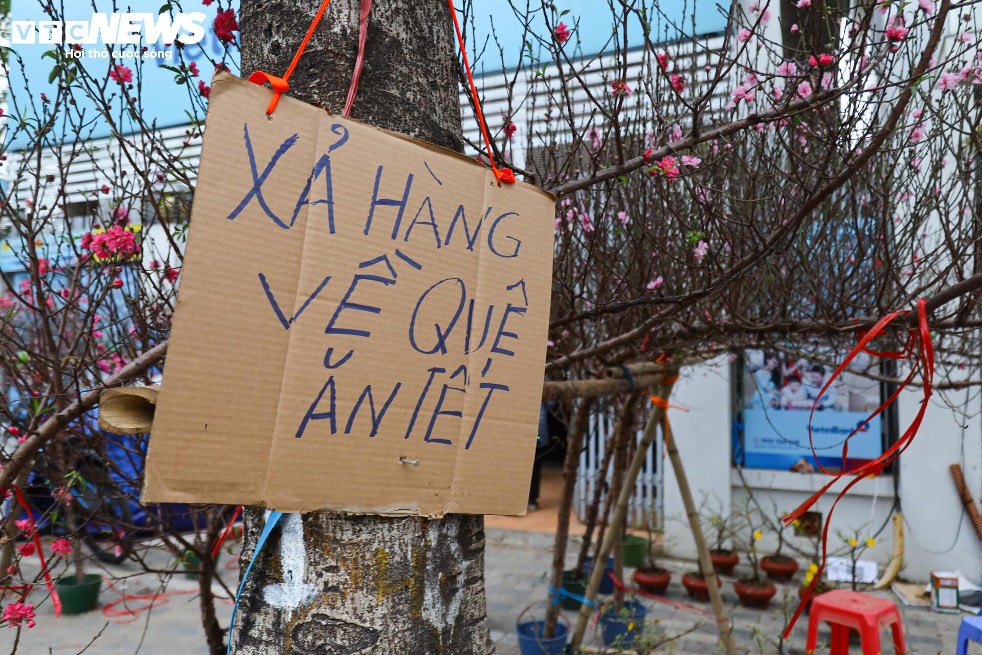 Hoa đào, mai vàng đại hạ giá, tiểu thương xả hàng về quê ăn Tết - Ảnh 2