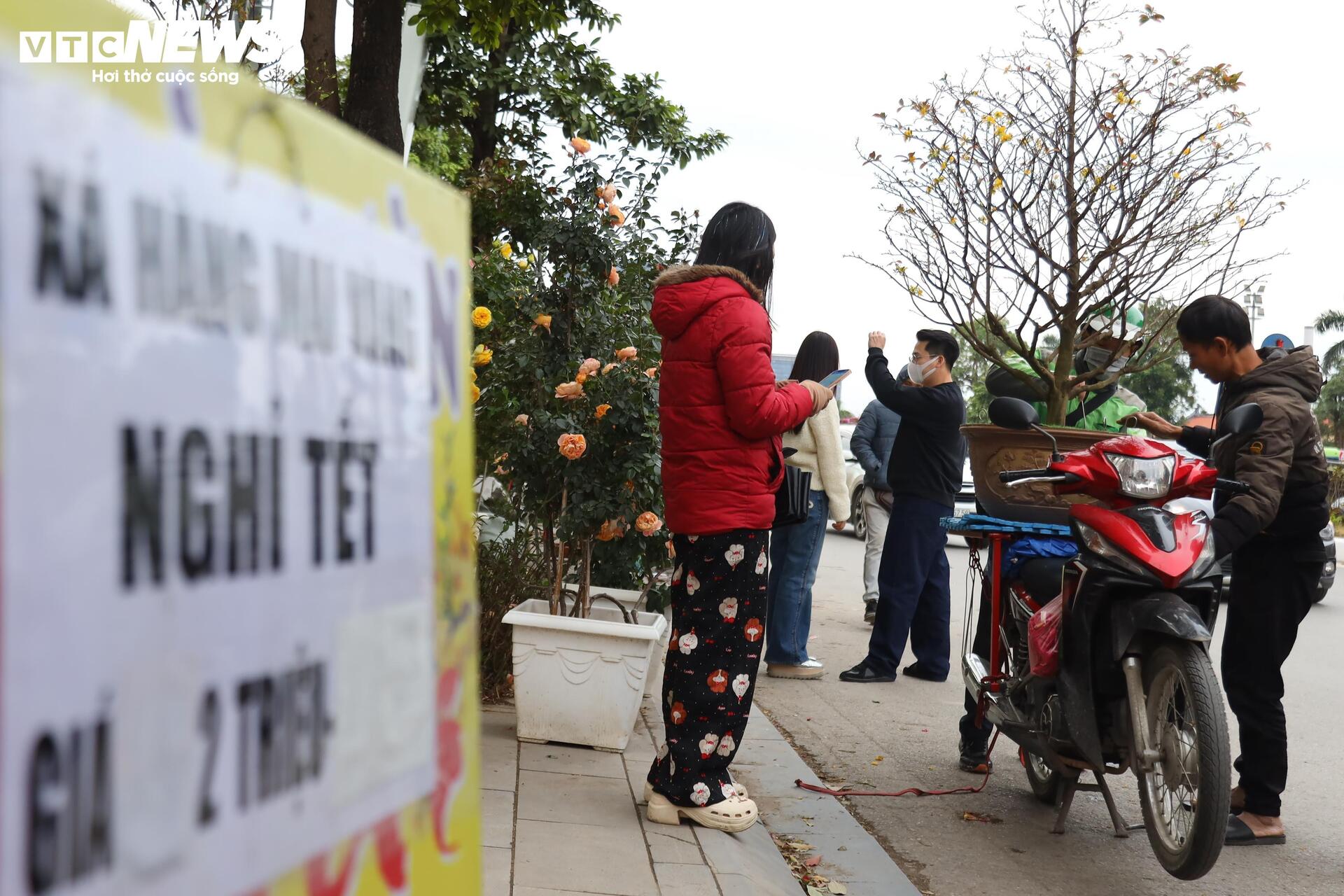 Hoa đào, mai vàng đại hạ giá, tiểu thương xả hàng về quê ăn Tết - Ảnh 6