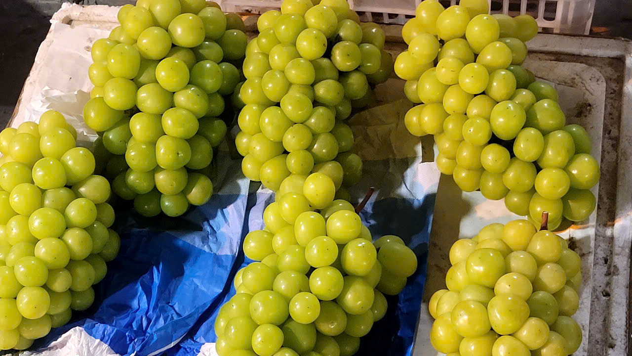 Thận trọng mua nho sữa "quý tộc" với giá siêu rẻ ở chợ Tết online - Ảnh 1