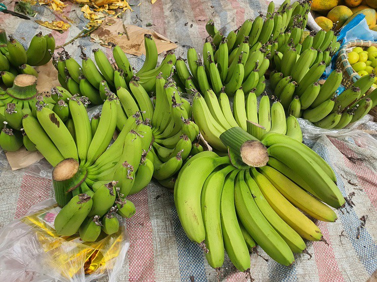 Nửa triệu đồng một nải chuối tiêu xanh, khách xuống tiền mua trong “phút mốt” về trưng Tết - Ảnh 2