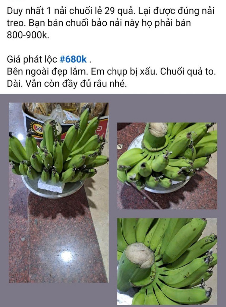 Nửa triệu đồng một nải chuối tiêu xanh, khách xuống tiền mua trong “phút mốt” về trưng Tết - Ảnh 3