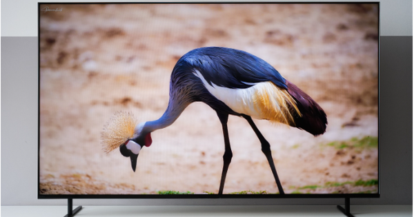 Vì sao TV Sony BRAVIA là lựa chọn hàng đầu để xem phim dịp Tết này?