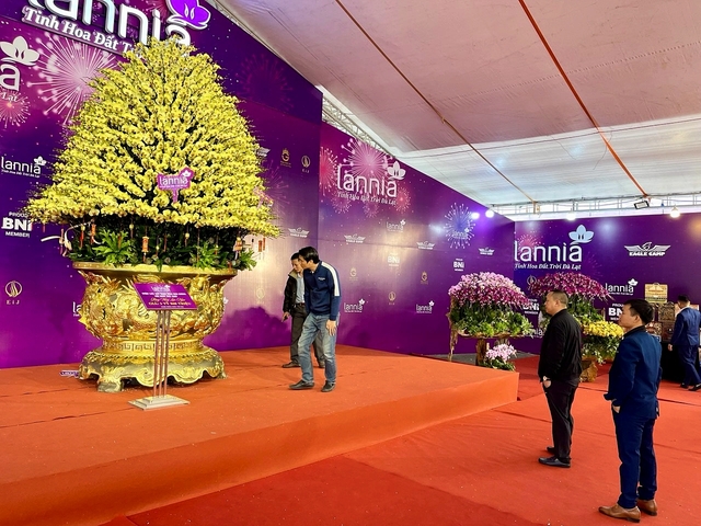 Cận cảnh chậu lan được rao bán gần 4 tỷ đồng dịp gần Tết ở Hà Nội - Ảnh 16