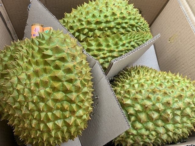 “Vua quả” Việt Nam được xuất khẩu trở lại Trung Quốc nhờ 1 tờ giấy: Nước ta có 7 nơi cấp giấy này - Ảnh 2