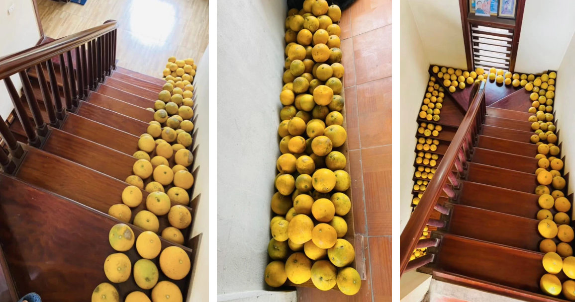 Nhìn là biết ngay Tết miền Bắc: Các gia đình chất đầy "trứng rồng" trong nhà để ăn dần - Ảnh 5