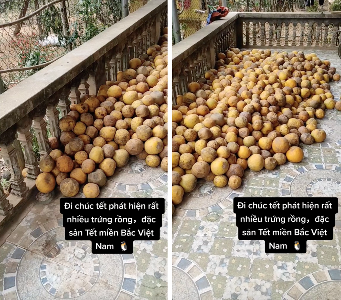 Nhìn là biết ngay Tết miền Bắc: Các gia đình chất đầy "trứng rồng" trong nhà để ăn dần - Ảnh 6