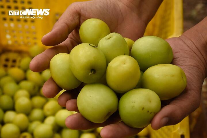 Giáp Tết Nguyên đán 2025, đặc sản táo muối Bàng La khan hàng - Ảnh 6