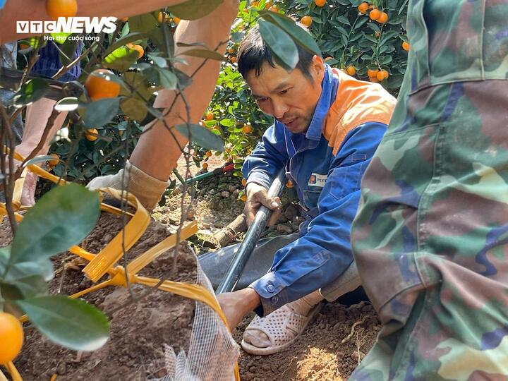Chi tiền triệu, đặt cọc trước cả tháng vẫn khó thuê thợ đánh cây cảnh dịp Tết - Ảnh 1