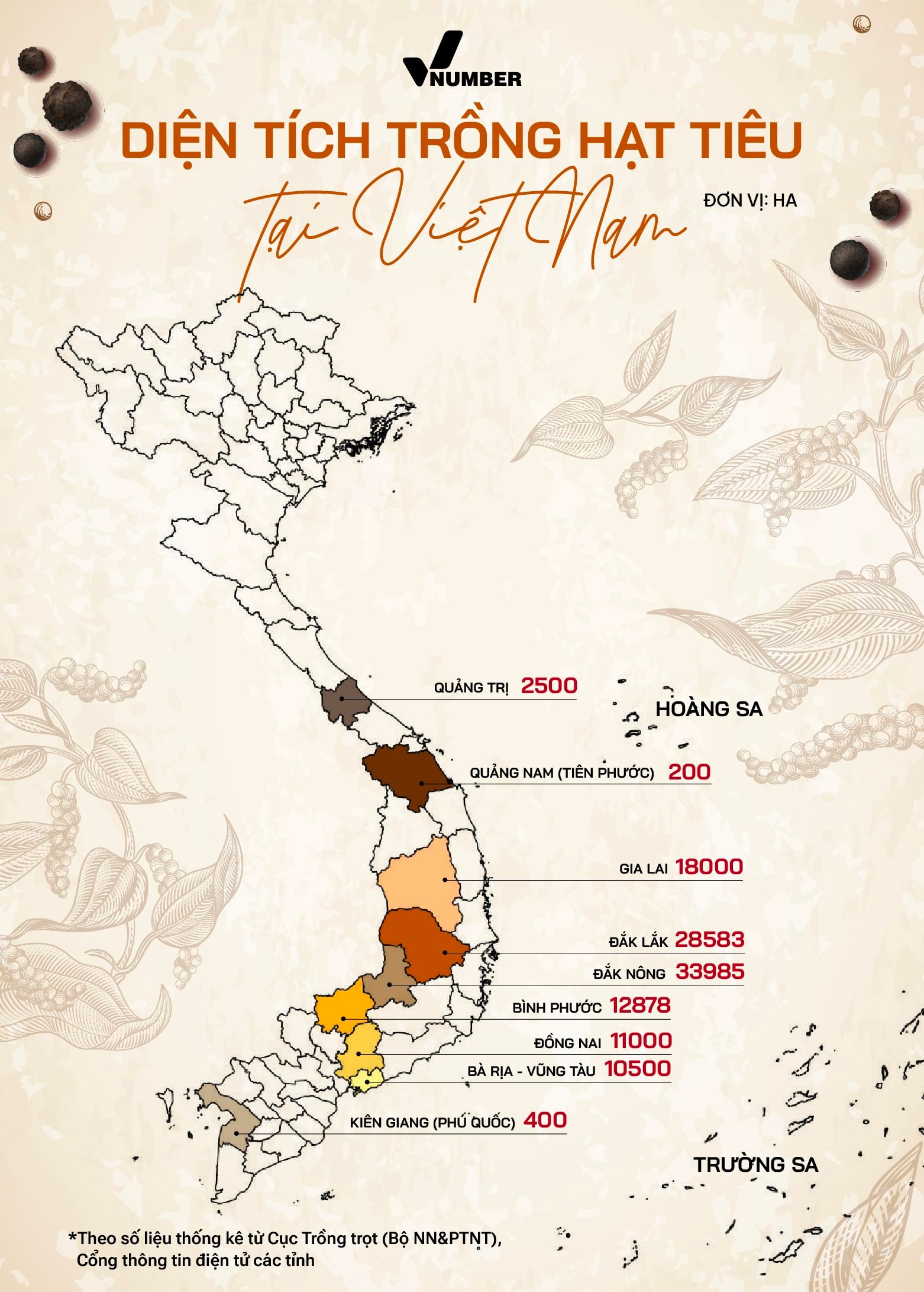 Việt Nam sở hữu một loại ‘vàng đen’ xuất khẩu bằng cả thế giới cộng lại: Diện tích trồng đứng top đầu thế giới, tỉnh nào đang nắm giữ nhiều nhất? - Ảnh 2