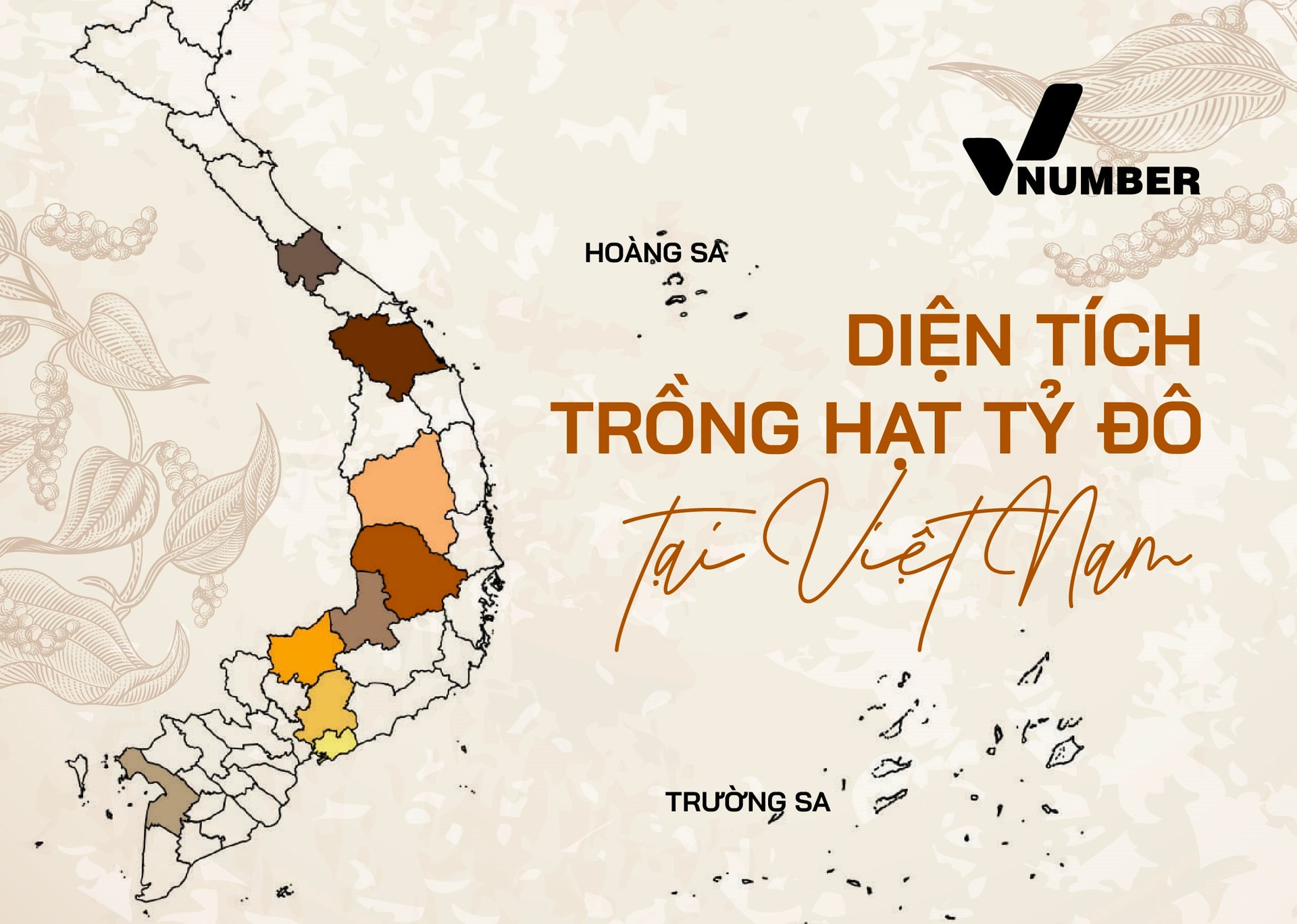 Việt Nam sở hữu một loại ‘vàng đen’ xuất khẩu bằng cả thế giới cộng lại: Diện tích trồng đứng top đầu thế giới, tỉnh nào đang nắm giữ nhiều nhất? - Ảnh 1