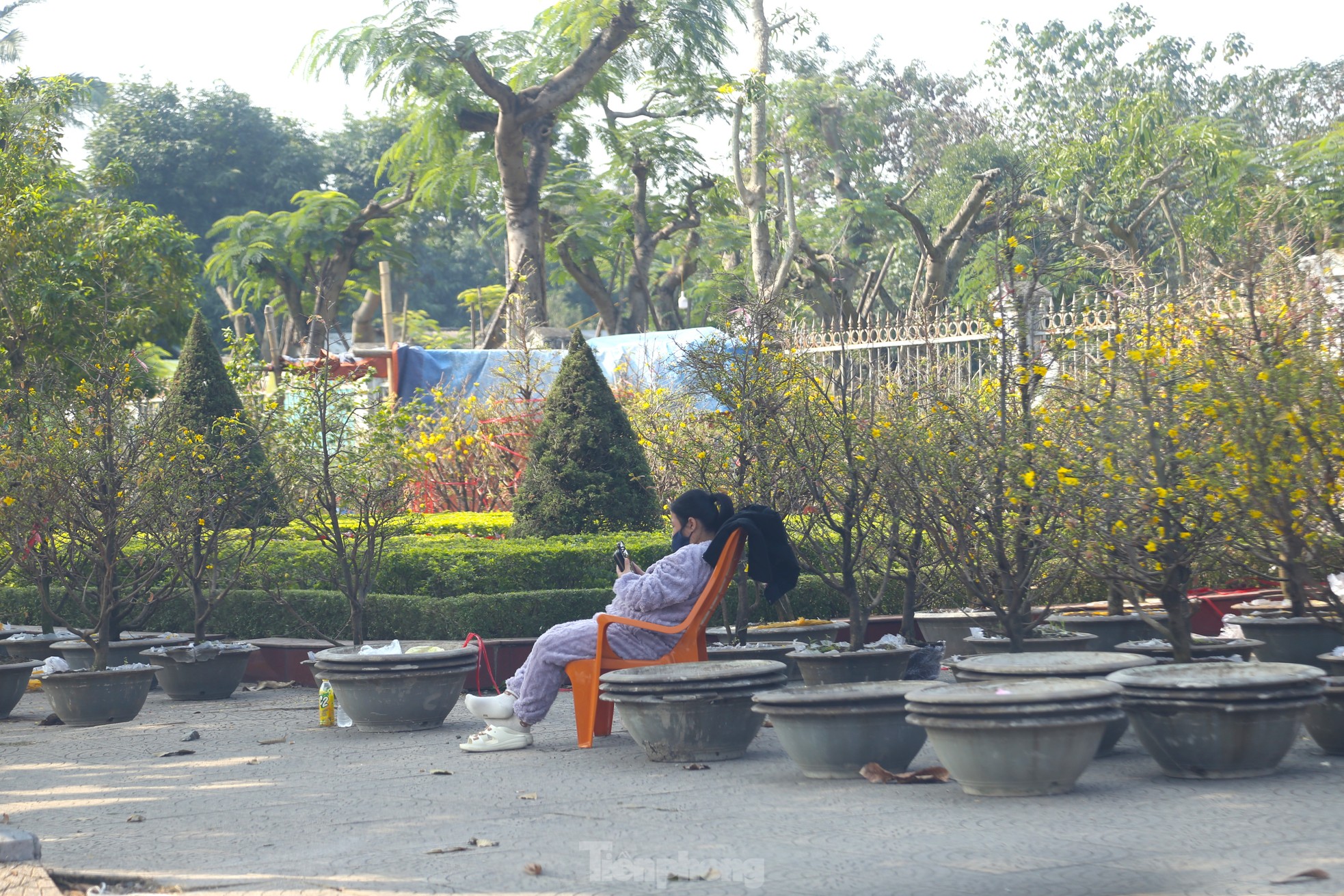 Dân buôn ngồi lướt điện thoại, đào quất Tết ế chỏng ế chơ - Ảnh 9