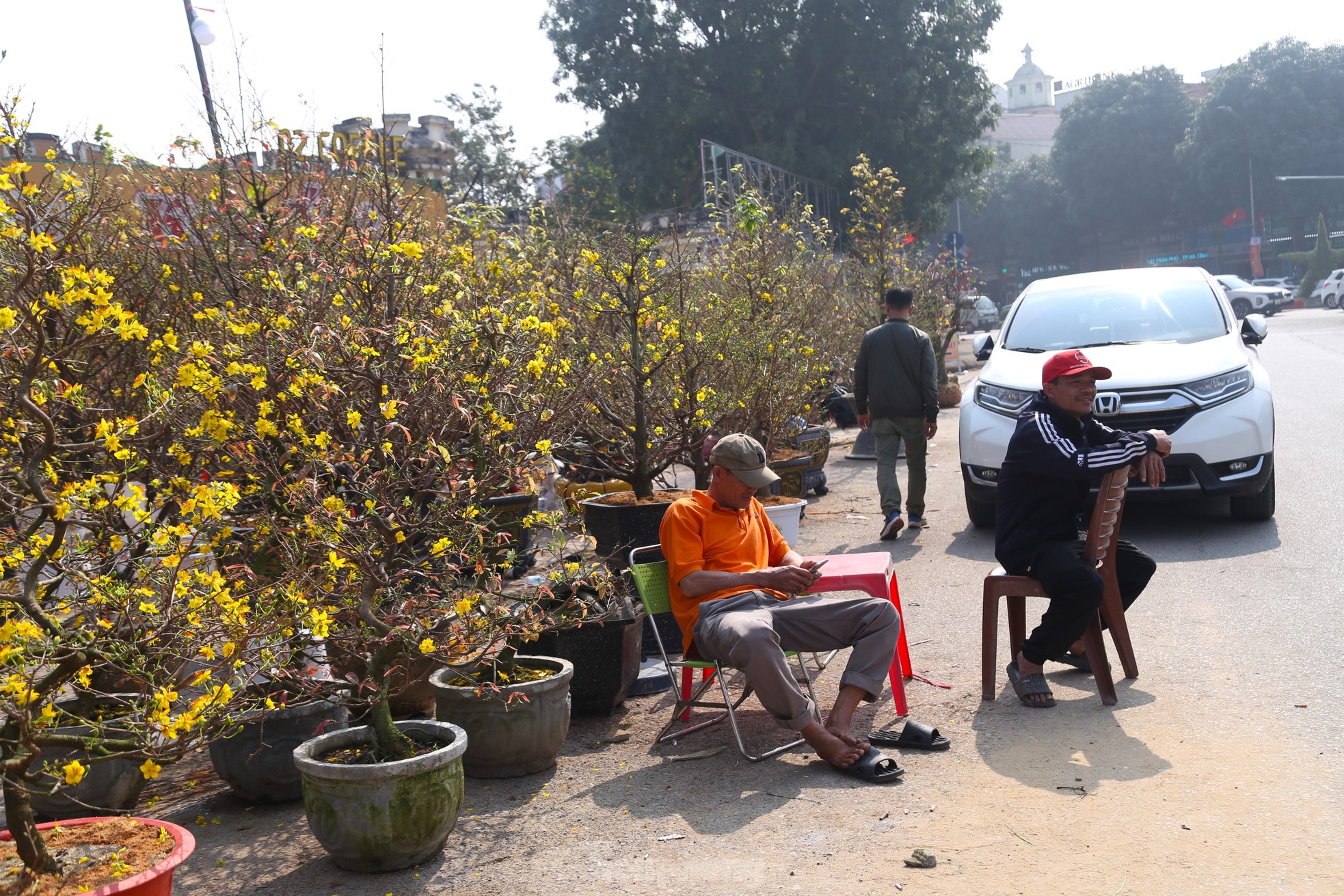 Dân buôn ngồi lướt điện thoại, đào quất Tết ế chỏng ế chơ - Ảnh 6