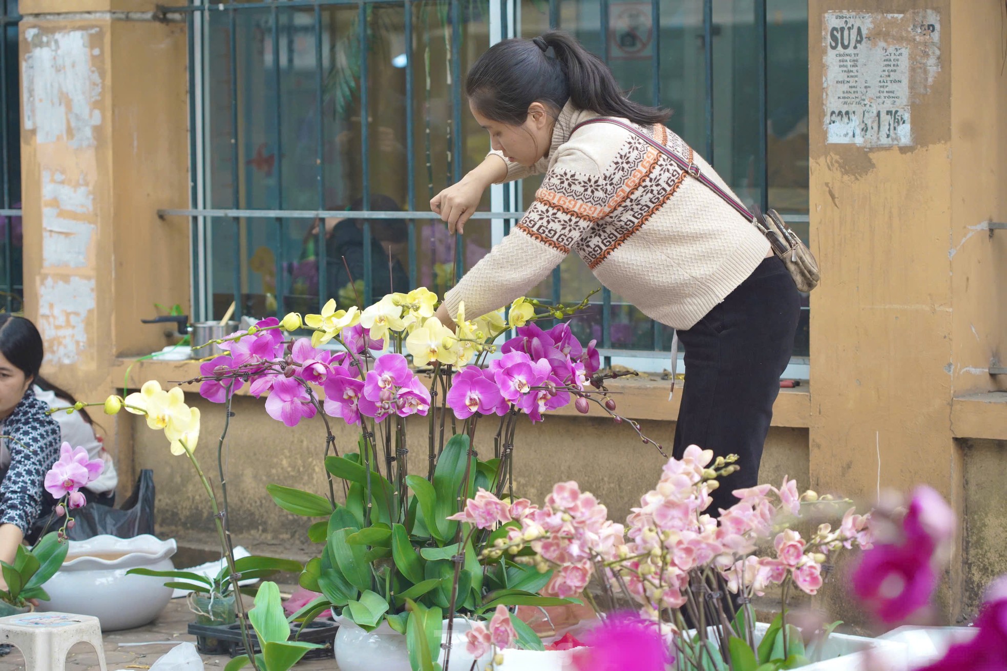 Phố cây cảnh lớn nhất Hà Nội ‘diện áo mới’ đón Tết - Ảnh 4