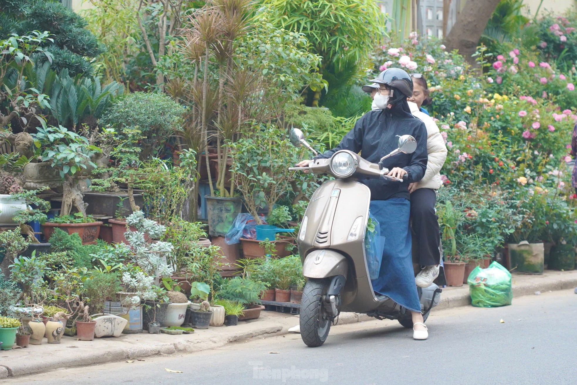 Phố cây cảnh lớn nhất Hà Nội ‘diện áo mới’ đón Tết - Ảnh 16