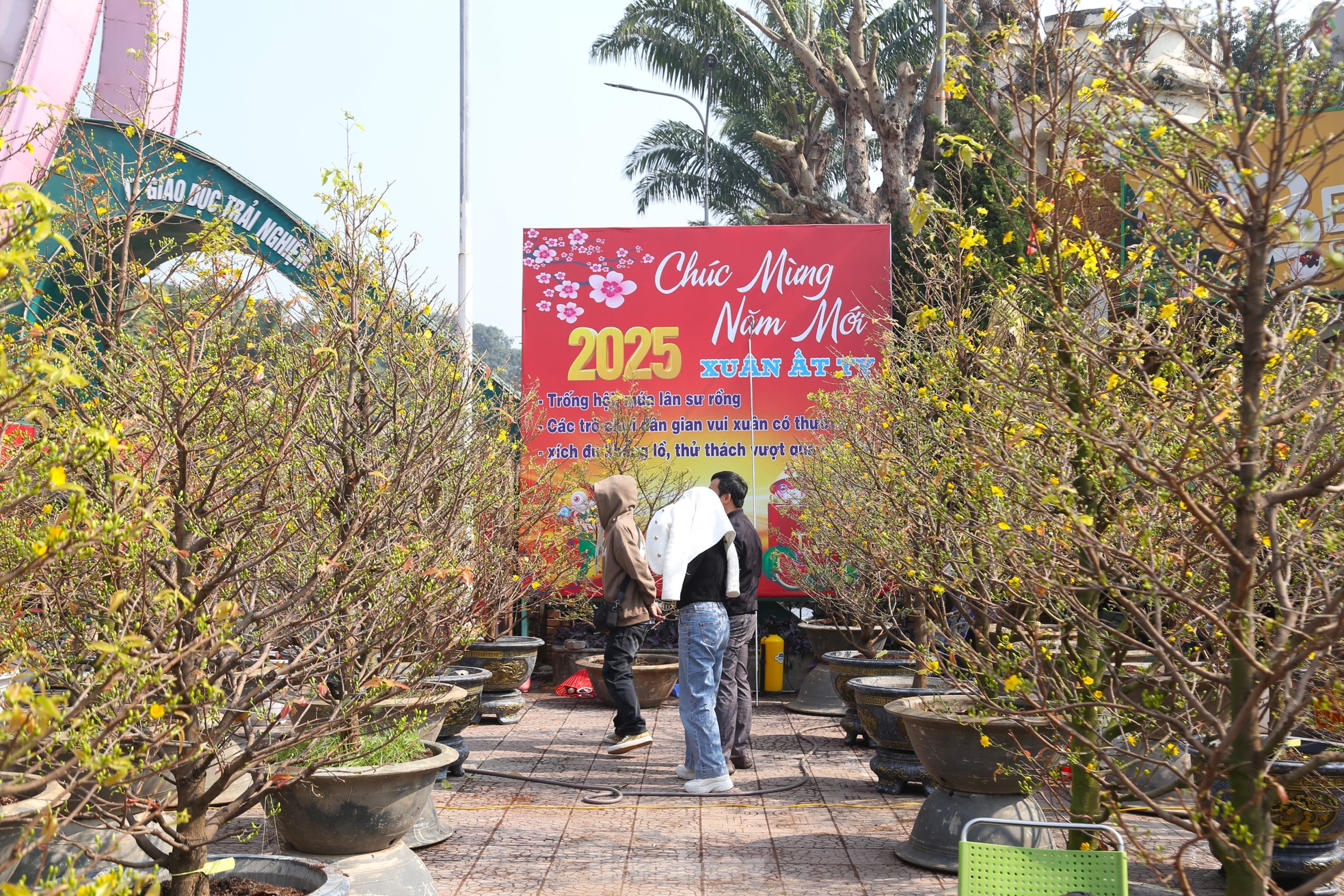 Dân buôn ngồi lướt điện thoại, đào quất Tết ế chỏng ế chơ - Ảnh 10