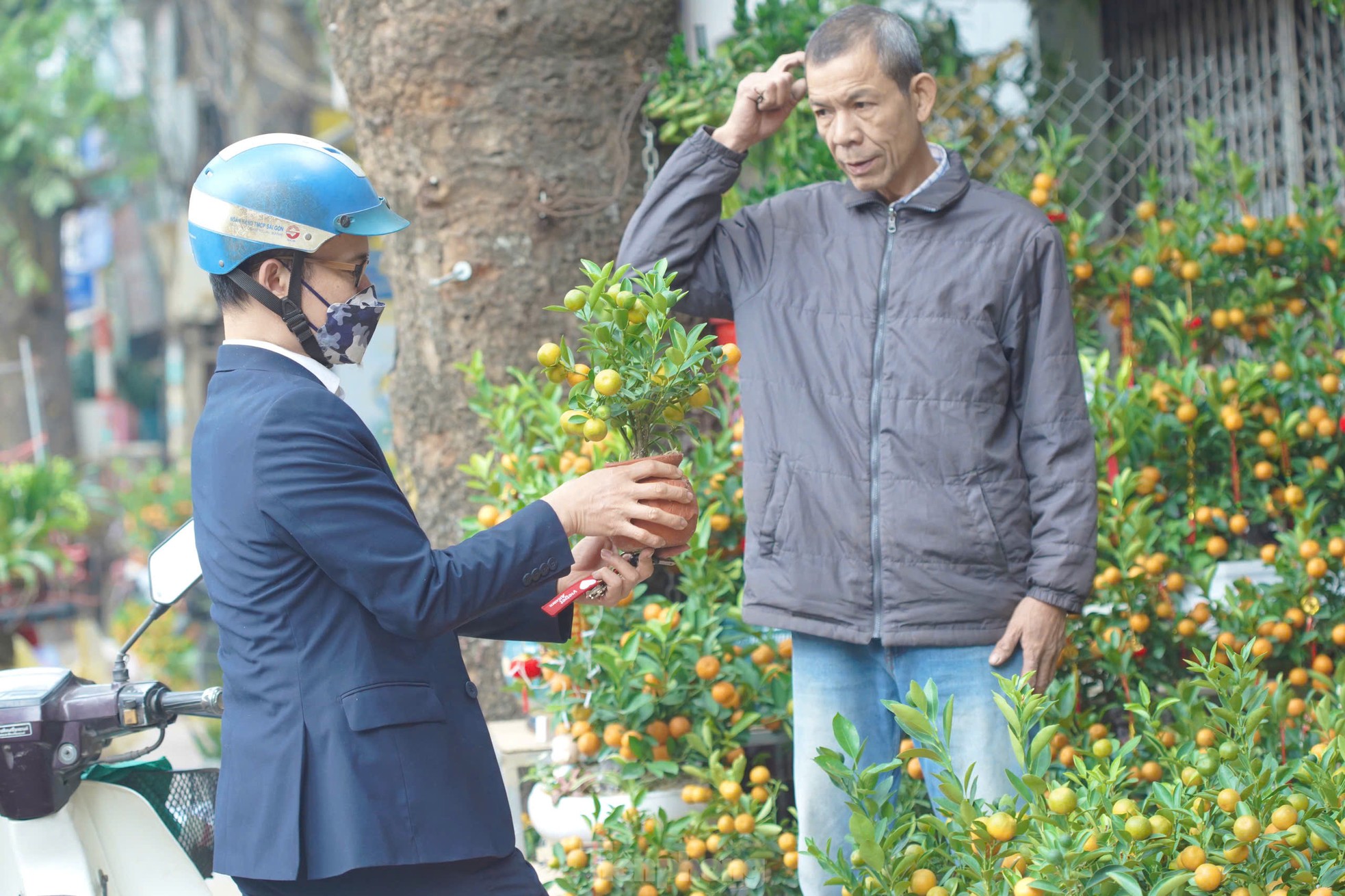 Phố cây cảnh lớn nhất Hà Nội ‘diện áo mới’ đón Tết - Ảnh 11