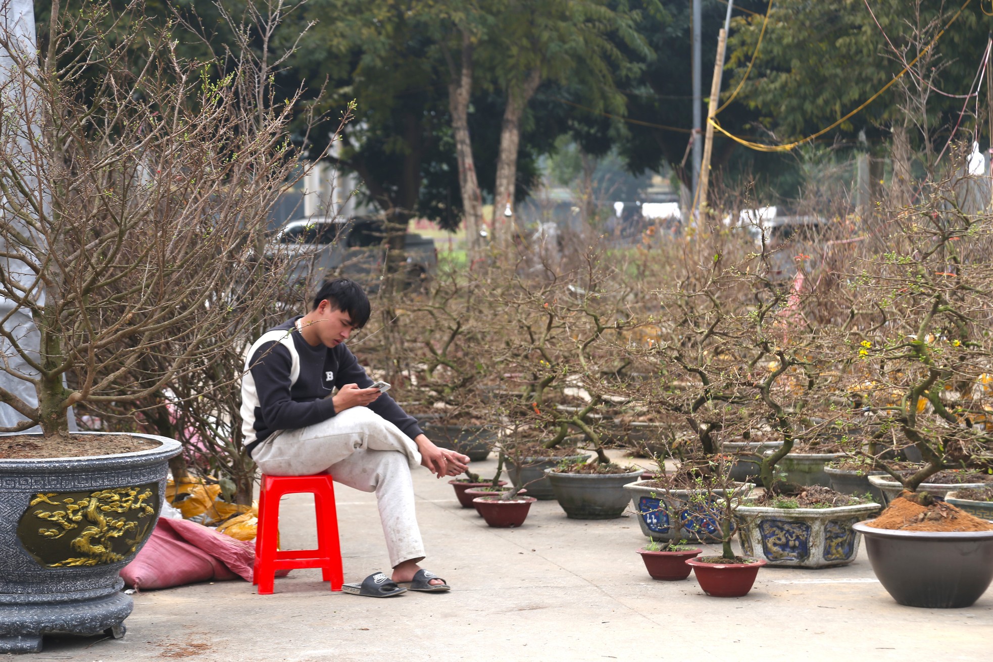 Dân buôn ngồi lướt điện thoại, đào quất Tết ế chỏng ế chơ - Ảnh 8