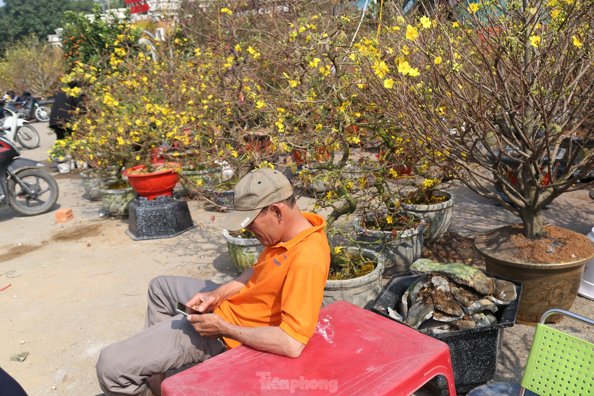 Dân buôn ngồi lướt điện thoại, đào quất Tết ế chỏng ế chơ - Ảnh 7