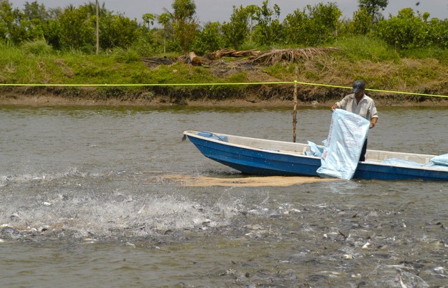 Xuất khẩu thủy sản cán đích 10 tỷ USD, nhưng... - Ảnh 2