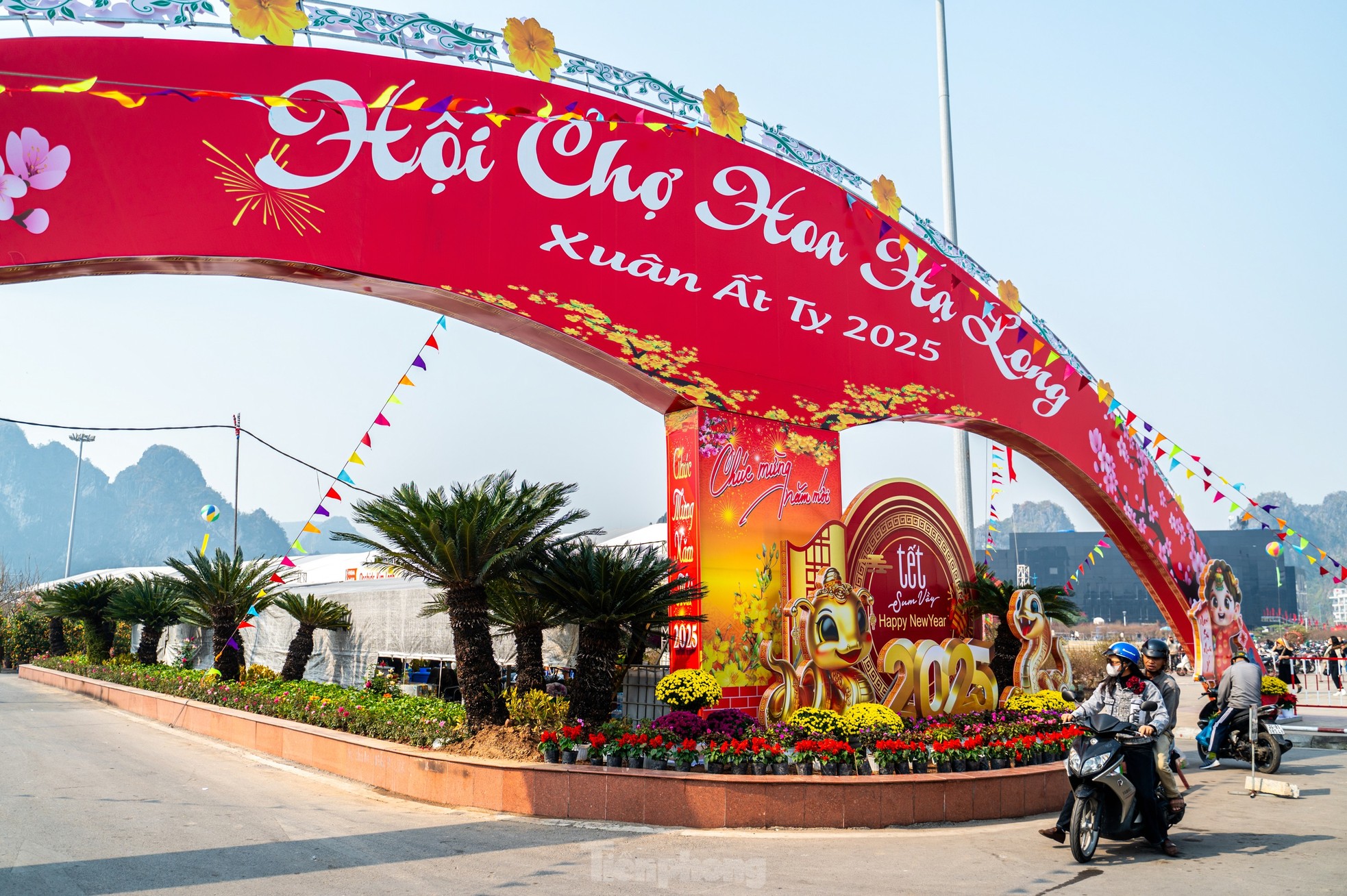 Cặp tùng có giá hơn 2,7 tỷ xuất hiện tại hội chợ hoa ở Hạ Long - Ảnh 2