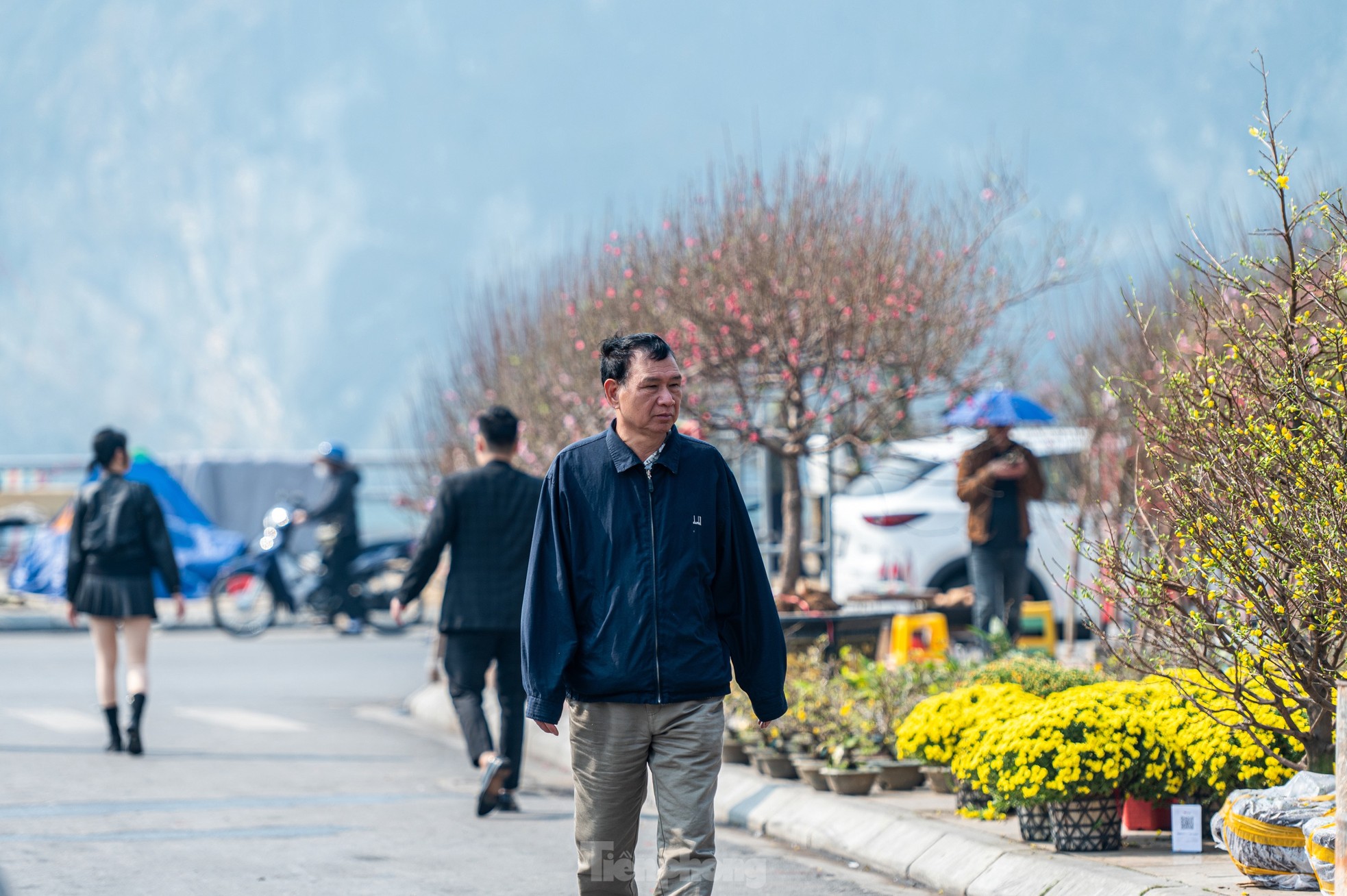 Cặp tùng có giá hơn 2,7 tỷ xuất hiện tại hội chợ hoa ở Hạ Long - Ảnh 19