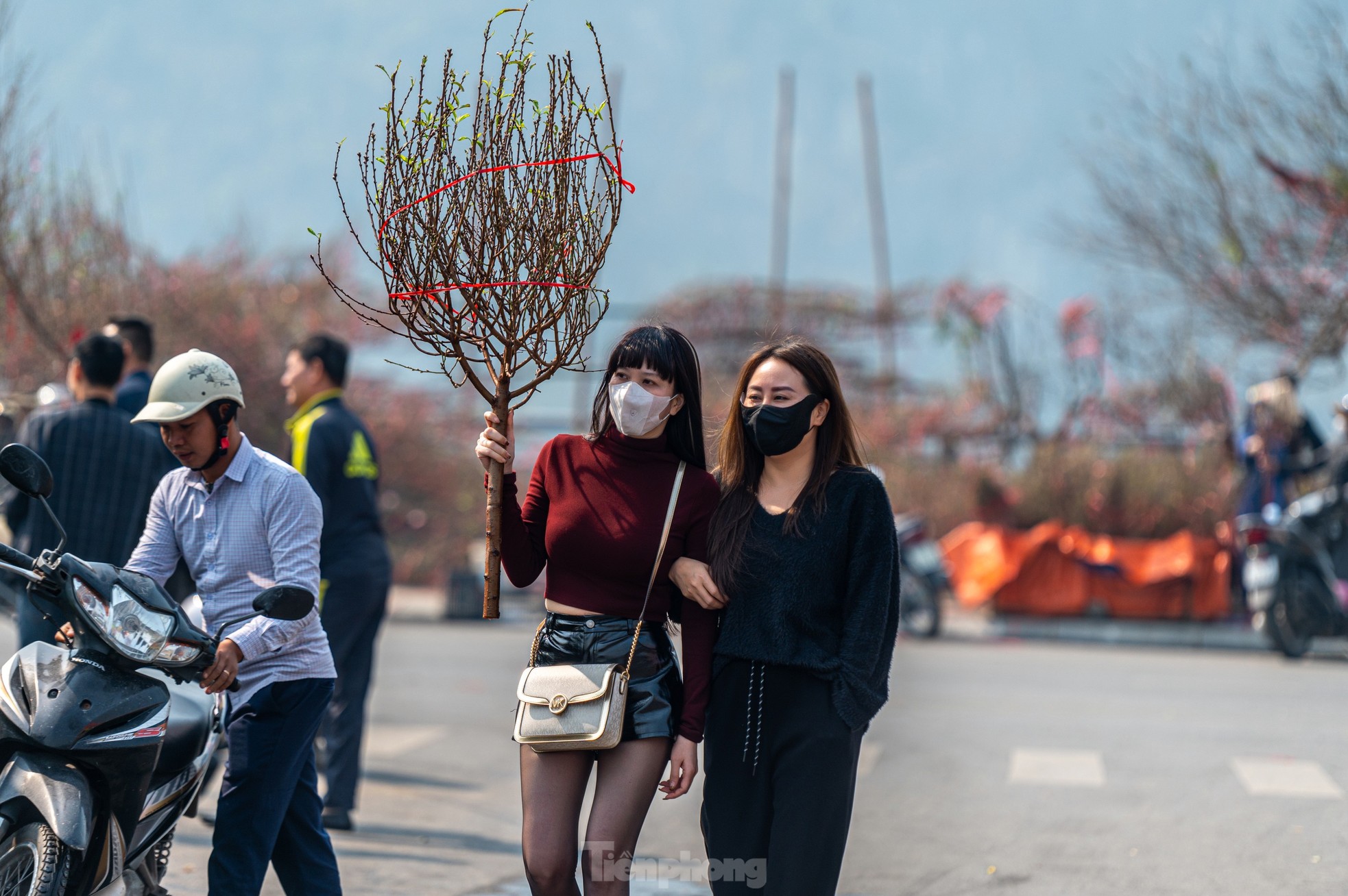 Cặp tùng có giá hơn 2,7 tỷ xuất hiện tại hội chợ hoa ở Hạ Long - Ảnh 15