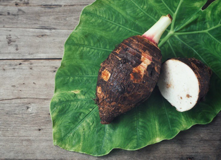 Người Việt chỉ ăn củ của cây này, ít ai biết thân của nó cũng có thể “hái ra tiền” - Ảnh 1