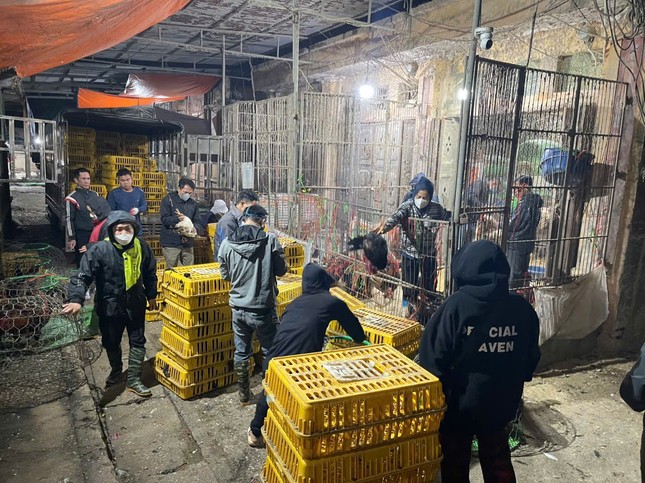 'Đột nhập' chợ gia cầm lớn nhất miền Bắc ngày giáp Tết - Ảnh 3