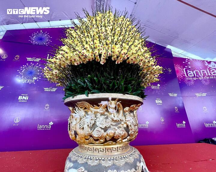 Cận cảnh chậu hoa lan dát vàng giá gần 4 tỷ đồng chờ khách mua chưng Tết - Ảnh 5