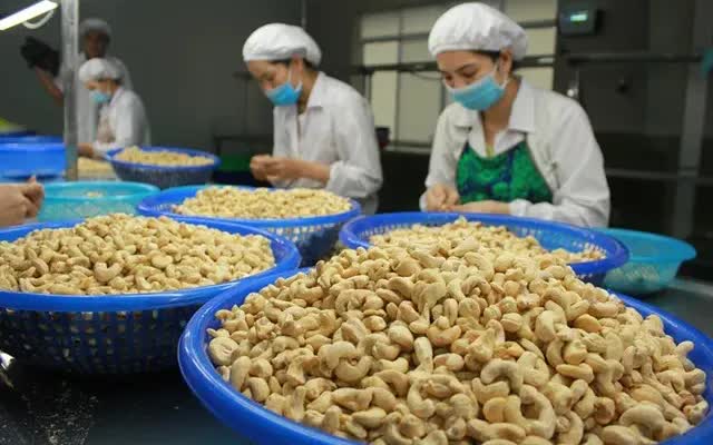 Hạt điều quyết giữ kỷ lục xuất khẩu - Ảnh 1