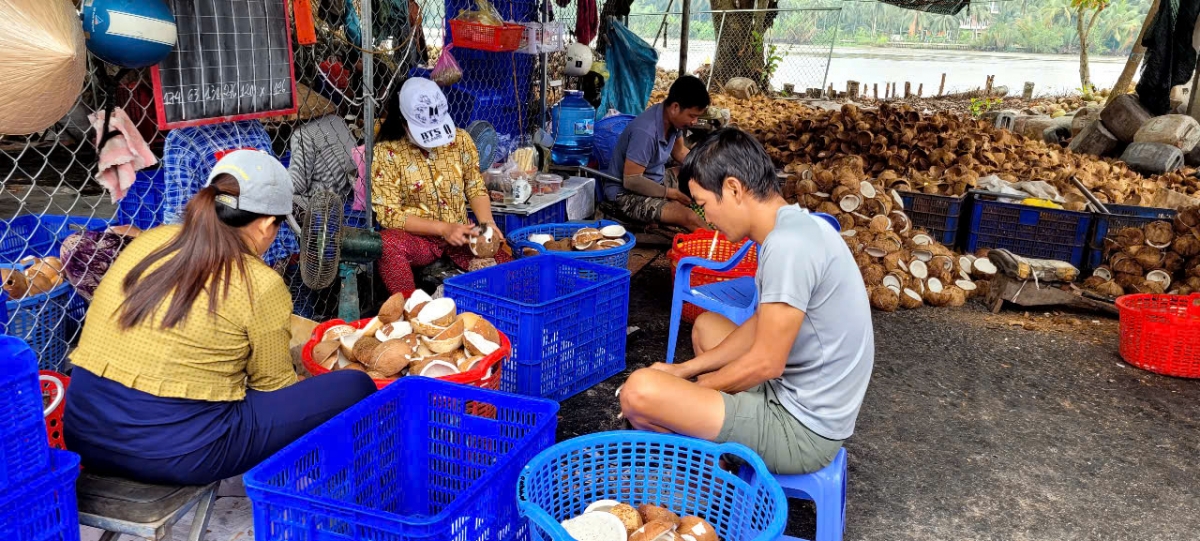 Giáp Tết, trái dừa tăng giá đột biến - Ảnh 2