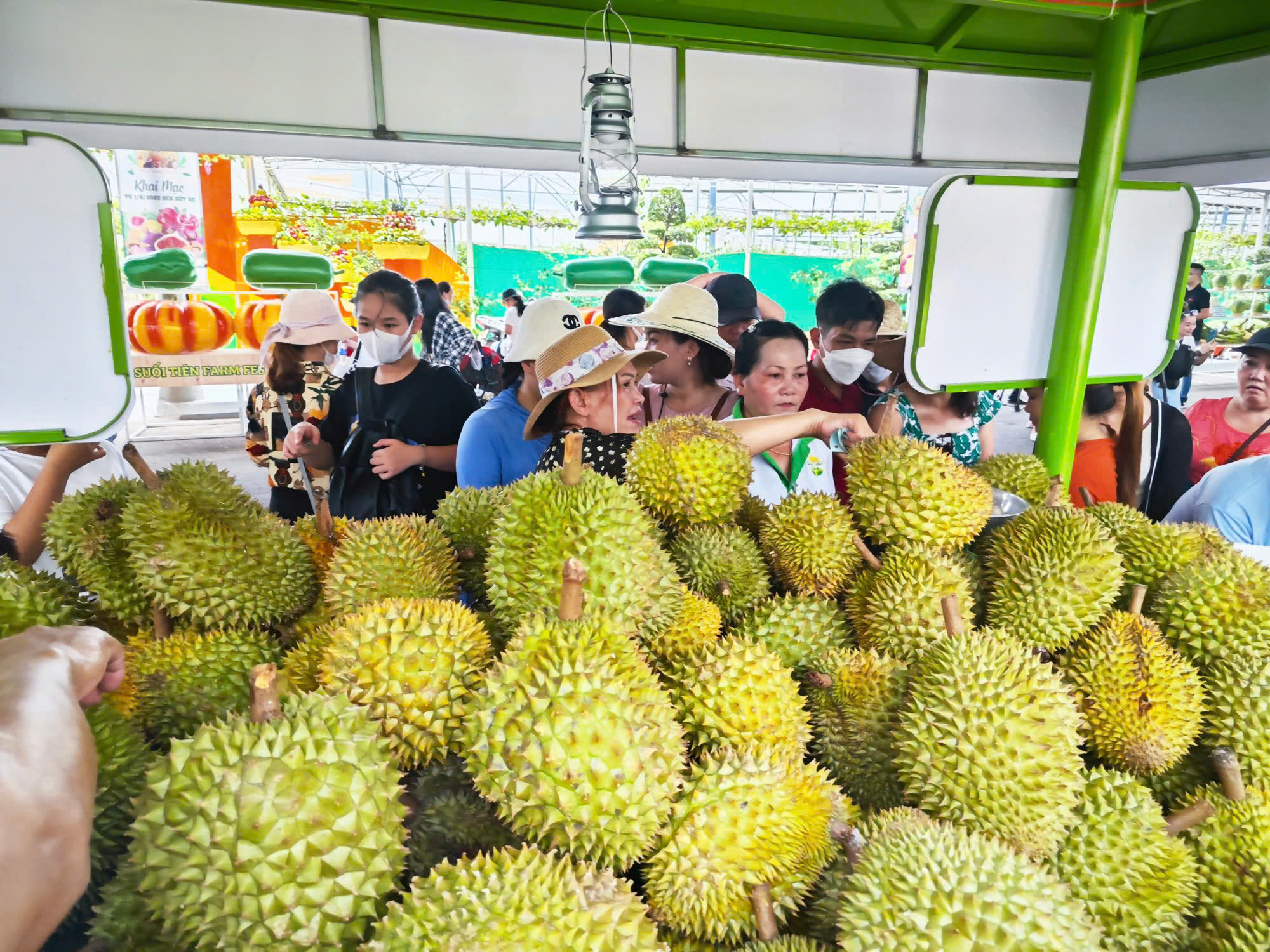 Sầu riêng chiếm gần 50% kim ngạch xuất khẩu toàn ngành rau quả - Ảnh 1