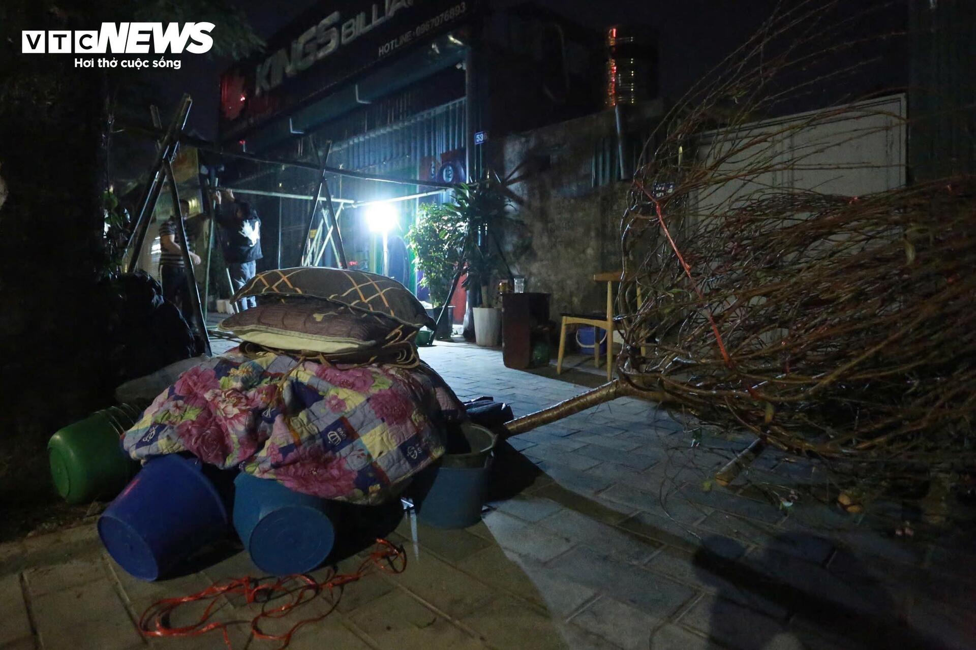 Thâu đêm trông đào quất Tết, tiểu thương gồng mình chịu giá rét - Ảnh 8