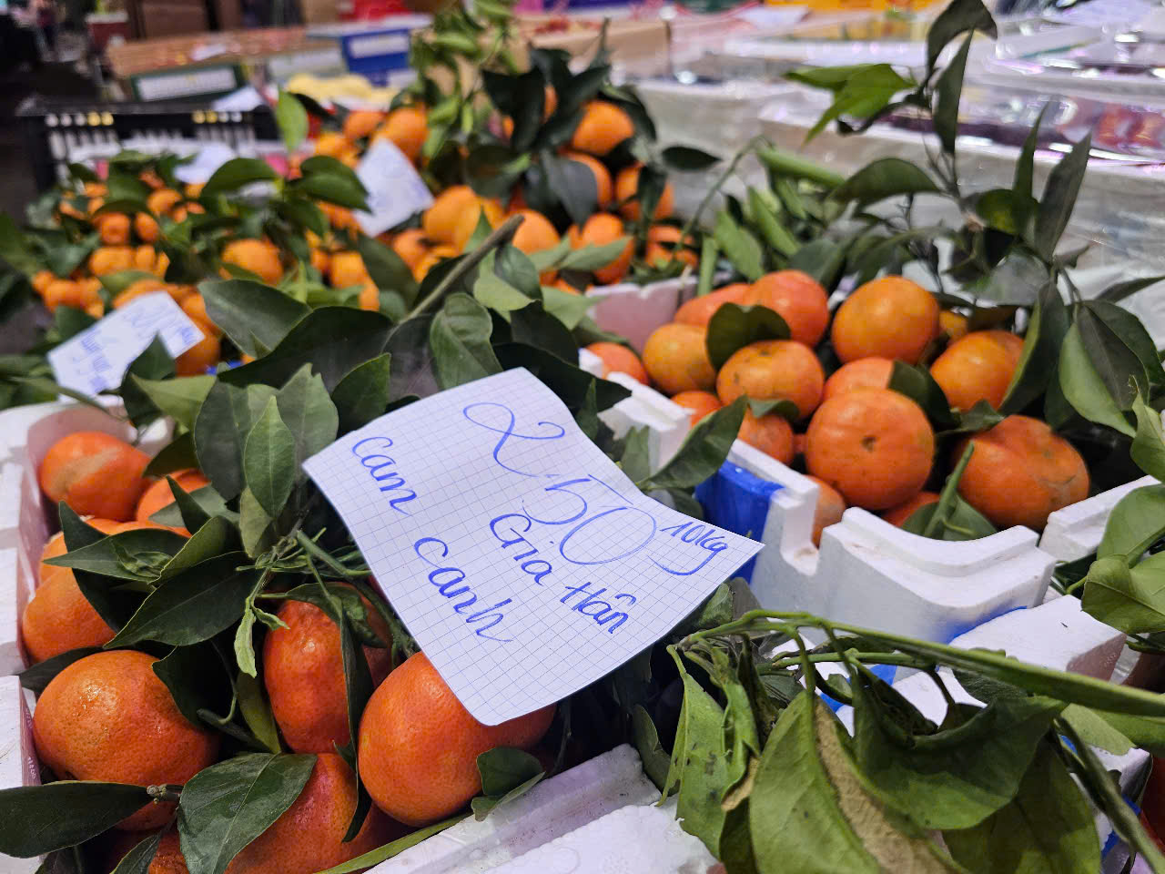 Hàng hóa Tết tràn ngập chợ đầu mối Thủ Đức, tiểu thương tiết lộ thông tin bất ngờ - Ảnh 7