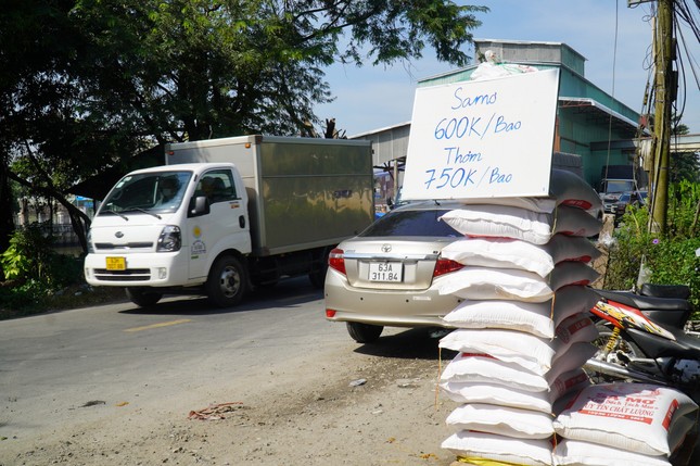 Vụ người dân đổ xô mua gạo: Giá lao dốc, đánh xe tải đi bán tống bán tháo - Ảnh 1