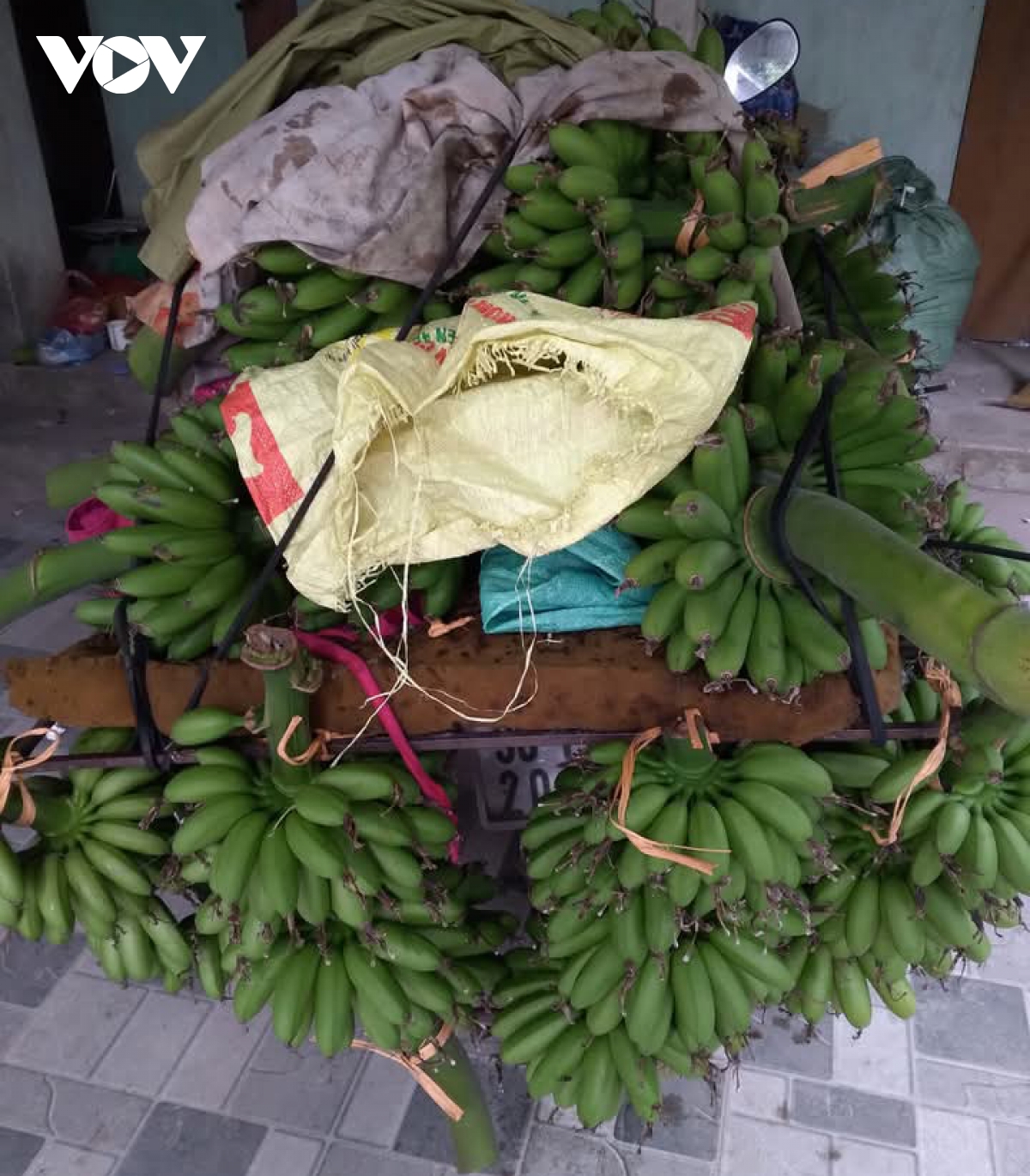 Đặc sản chuối tiến vua "làng Vũ Đại" cháy hàng dịp Tết - Ảnh 6