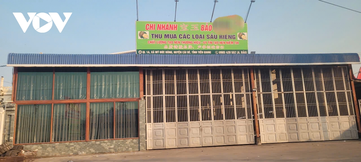 Trái sầu riêng cận Tết giảm giá sâu, nhà vườn đón Tết kém vui - Ảnh 5