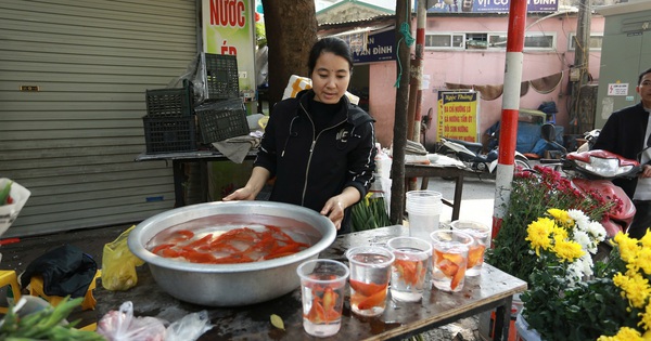 Giá cá chép cúng ông Công ông Táo tăng cao, chủ bán lẻ than ế