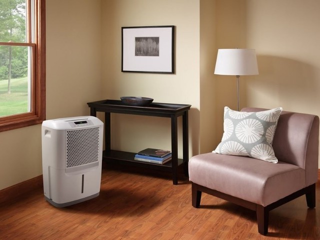 Thời tiết nồm ẩm lại còn có cả bụi mịn, đây là 2 thiết bị cần bật lên ngay trong nhà - Ảnh 1