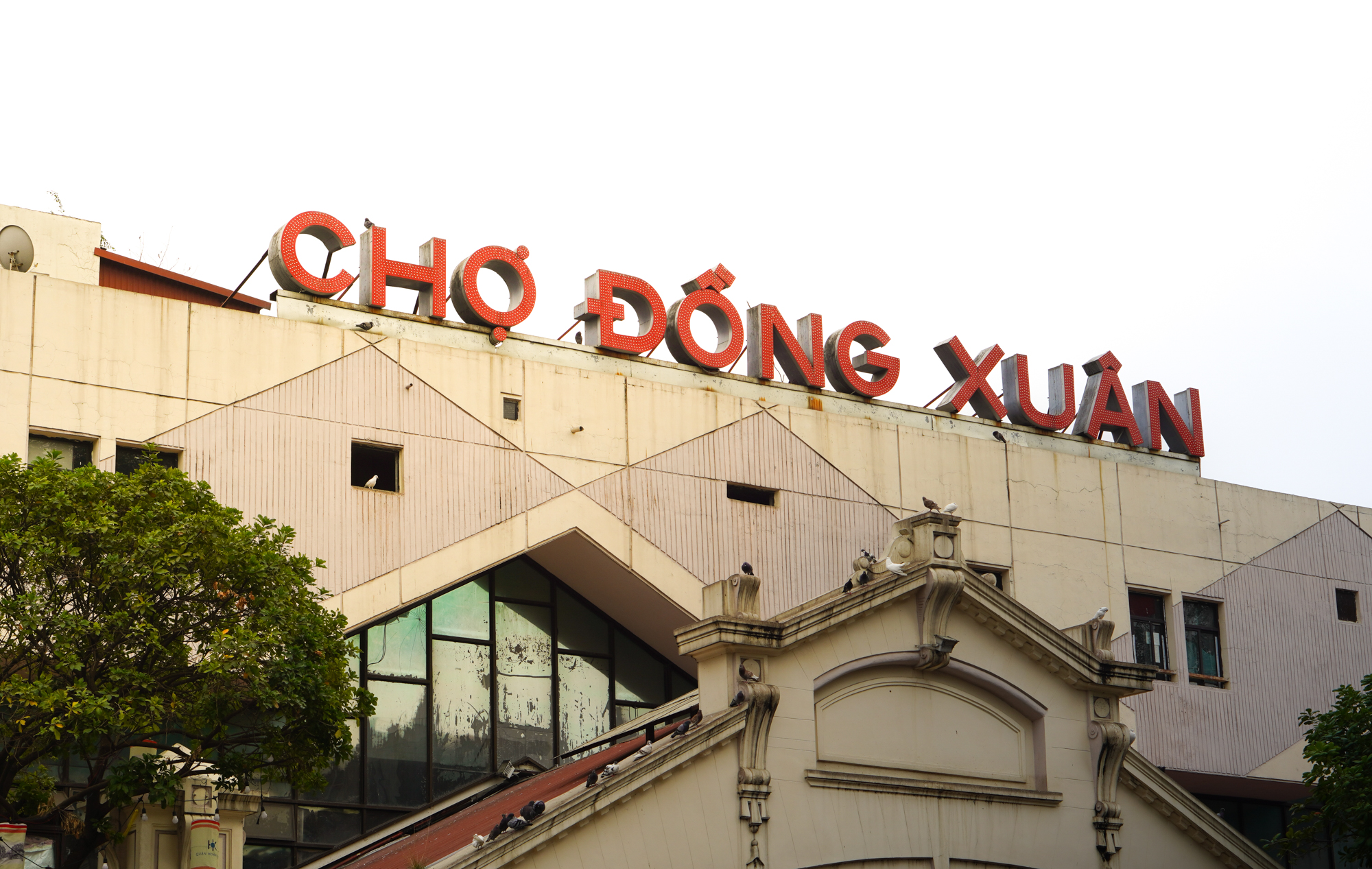 Chợ đầu mối từng là thiên đường bán sỉ, tiểu thương nuôi được cả nhà, cho con đi du học - nay chỉ còn khách du lịch, người bán "bỏ của chạy lấy người" - Ảnh 1