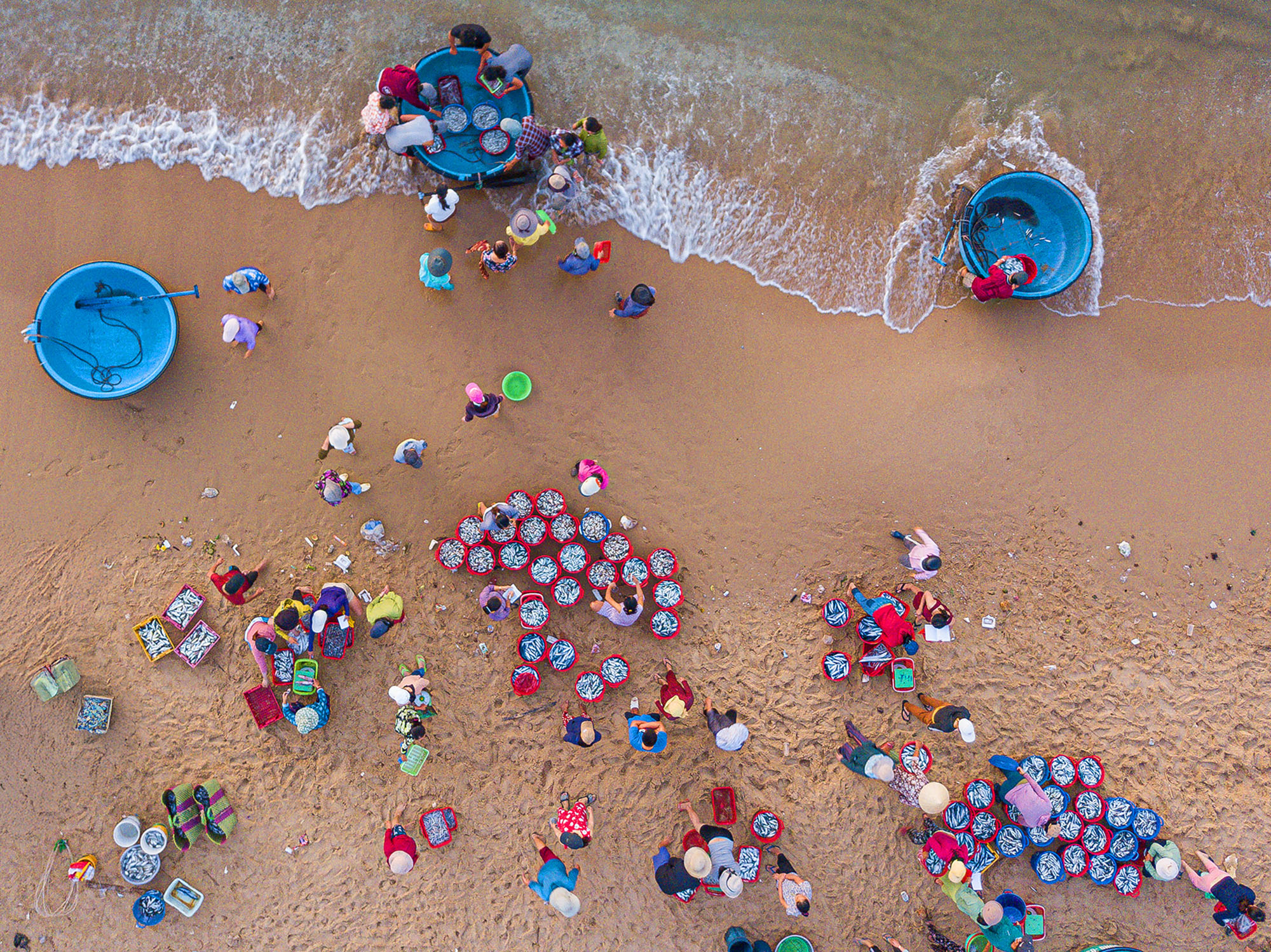 Chợ cá có giá sỉ bằng 1/10 giá lẻ, người bán không nói thách, người mua mang theo cả xe bò - Ảnh 1